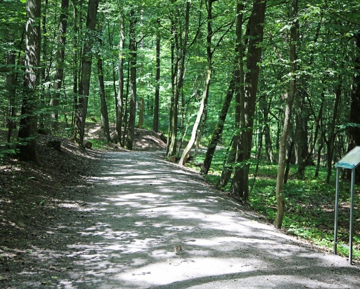 "Weg der Besinnung" in Bad Kissingen
